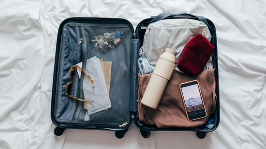 Travel Essentials for Vacation and Professional Trips